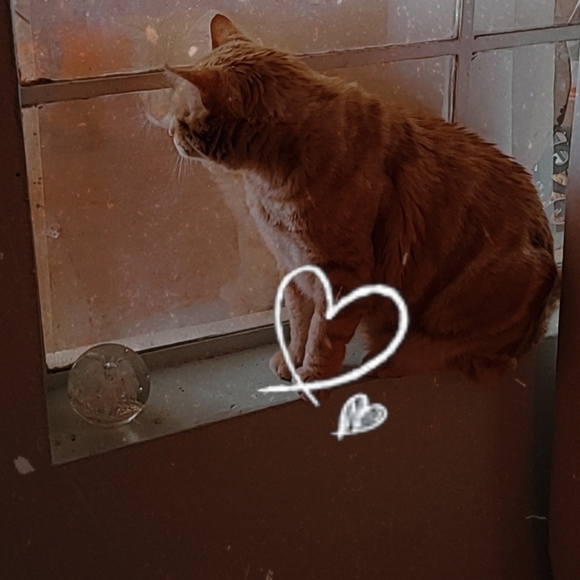 Meet your Posher, Yuli - Picture 5 of 5